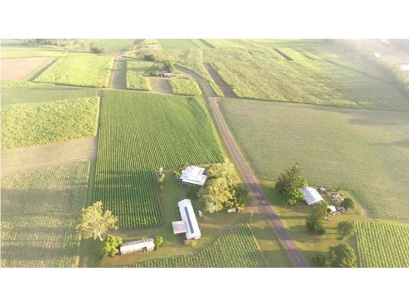 1540 Hawkins Creek Road, Hawkins Creek QLD 4850