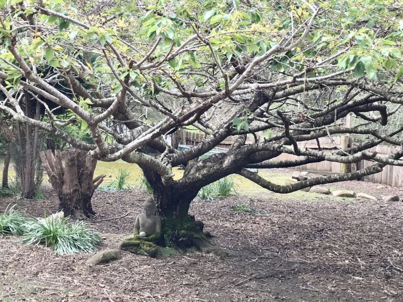 4 Franks Street, St Marys TAS 7215