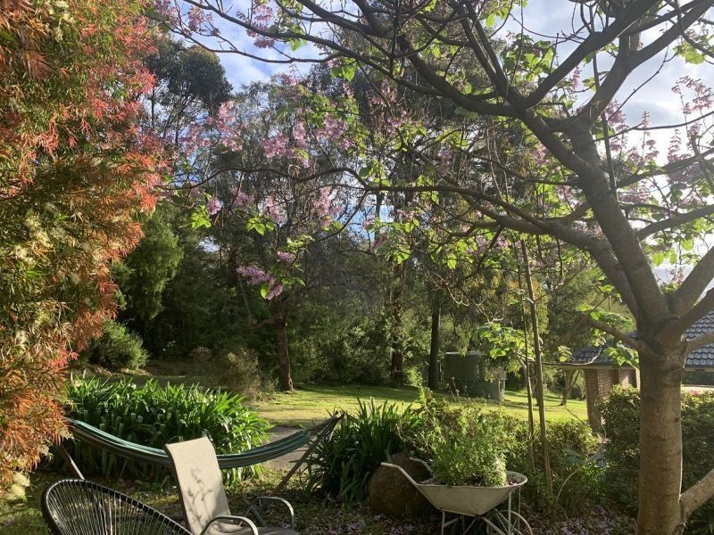 54 Allsops Rd, Woori Yallock VIC 3139