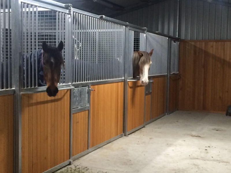 54 Allsops Rd, Woori Yallock VIC 3139