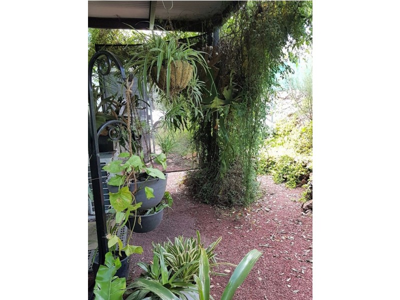 312 Stone Lane, Mole River NSW 2372