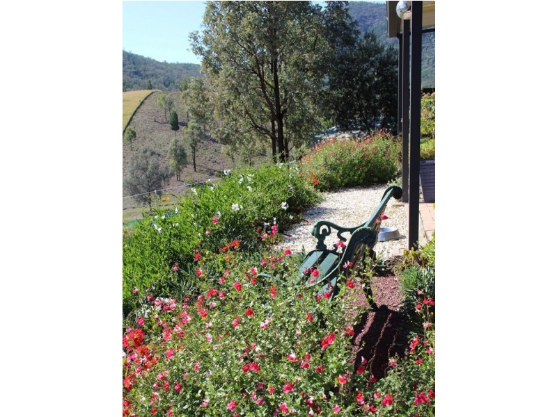 312 Stone Lane, Mole River NSW 2372