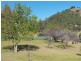 312 Stone Lane, Mole River NSW 2372