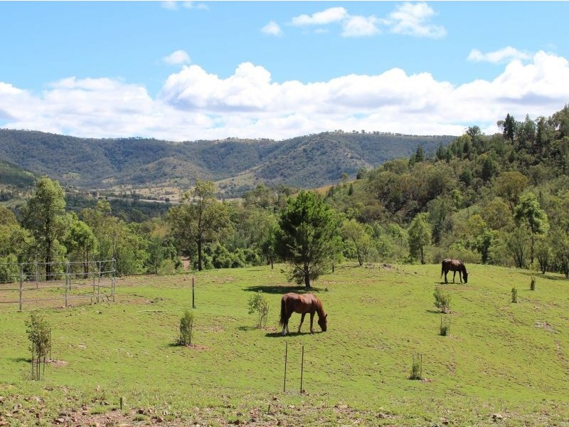 312 Stone Lane, Mole River NSW 2372