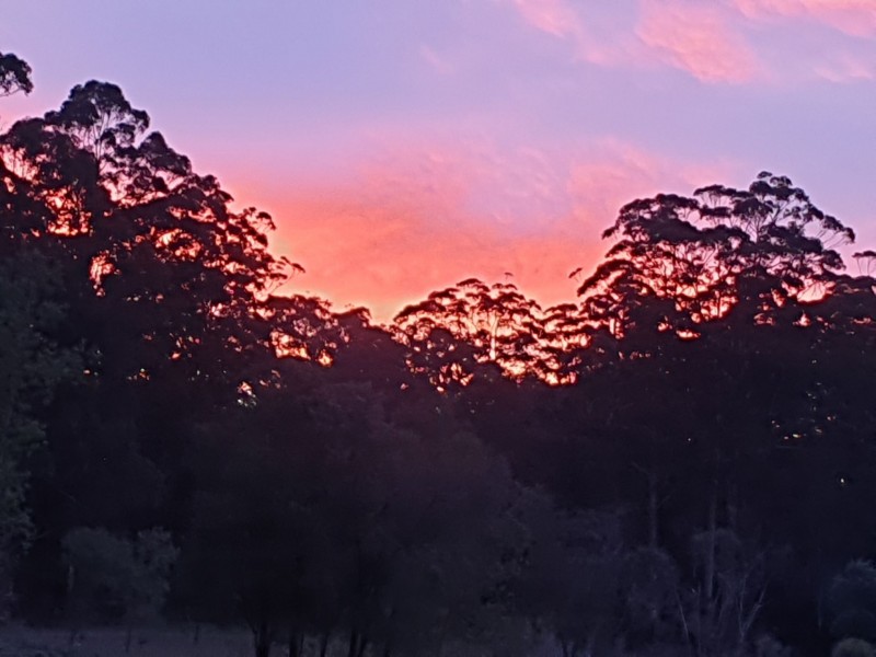 105 Burma Road, Pemberton WA 6260