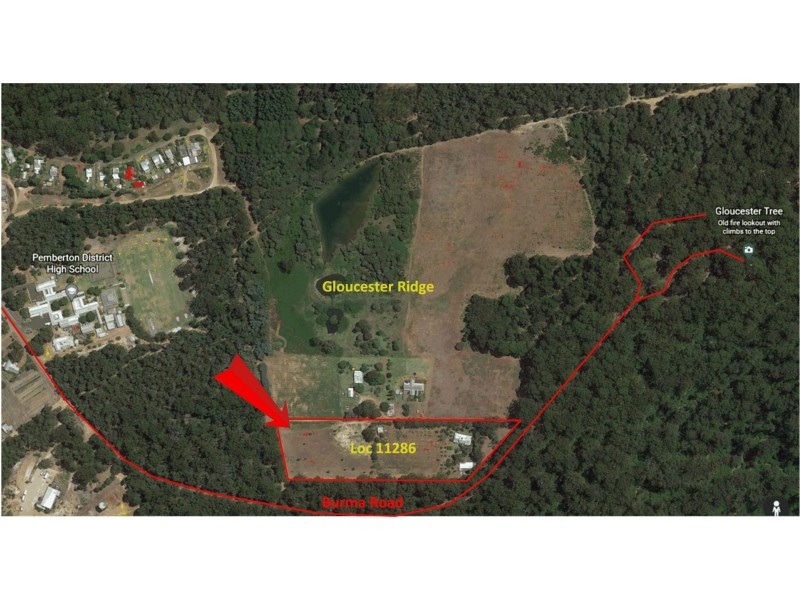 105 Burma Road, Pemberton WA 6260