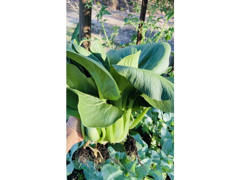 140 Brooking circuit, Virginia NT 0834