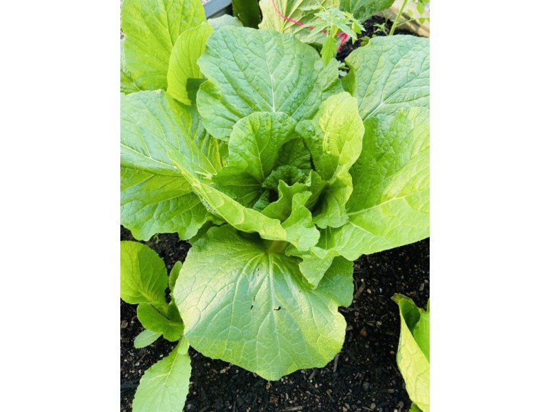 140 Brooking circuit, Virginia NT 0834