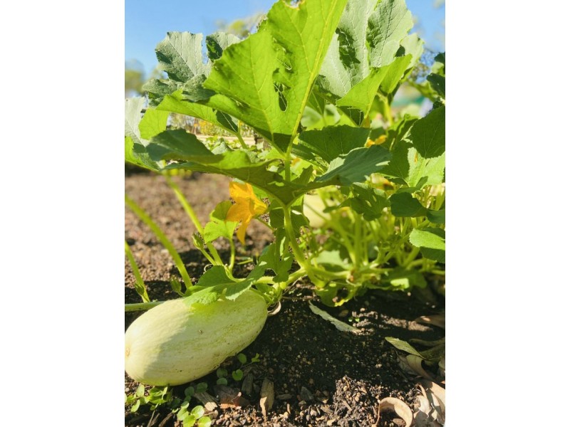 140 Brooking circuit, Virginia NT 0834