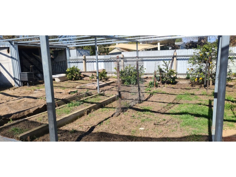 53 Mason St, East Wagga Wagga NSW 2650