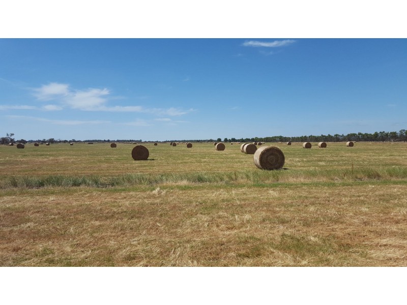 Lot 325 Johnson Road, Yarloop WA 6218