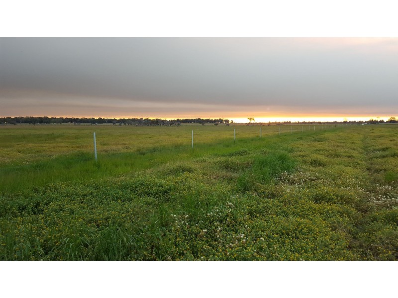 Lot 325 Johnson Road, Yarloop WA 6218