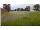 Lot 325 Johnson Road, Yarloop WA 6218