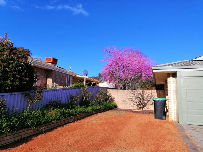 20 Spicer Street, Collie WA 6225