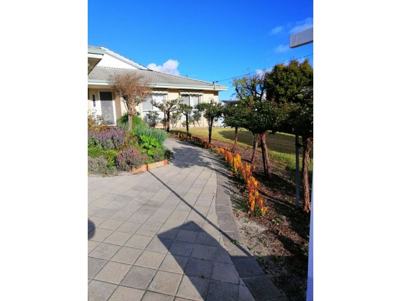 20 Spicer Street, Collie WA 6225