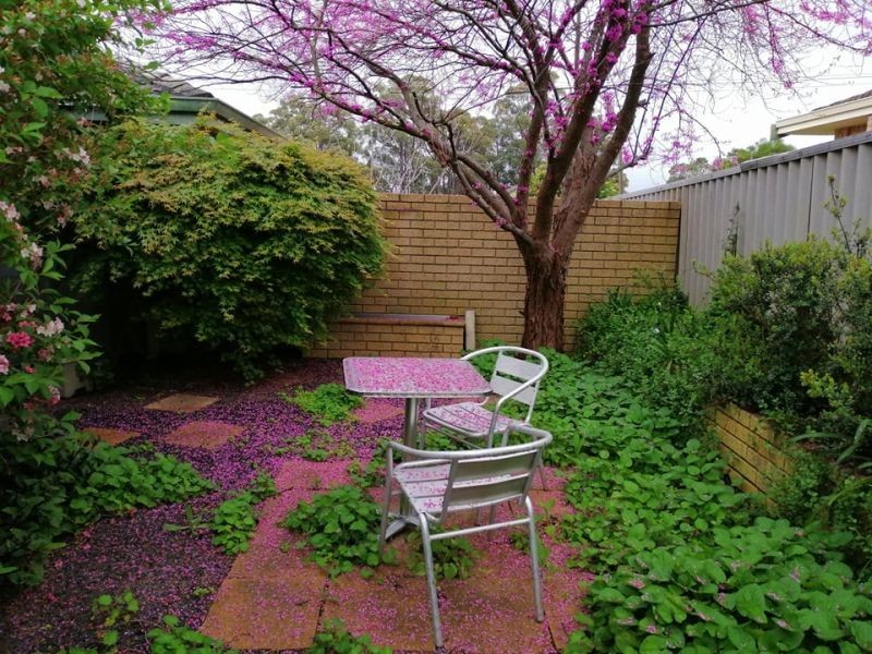 20 Spicer Street, Collie WA 6225