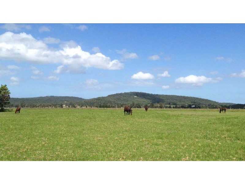 918 Newline Rd, Eagleton NSW 2324