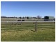 918 Newline Rd, Eagleton NSW 2324