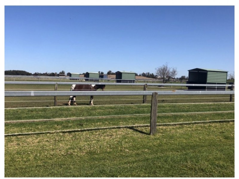918 Newline Rd, Eagleton NSW 2324