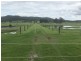 918 Newline Rd, Eagleton NSW 2324