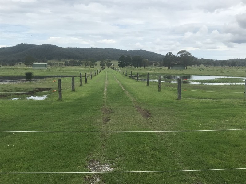 918 Newline Rd, Eagleton NSW 2324
