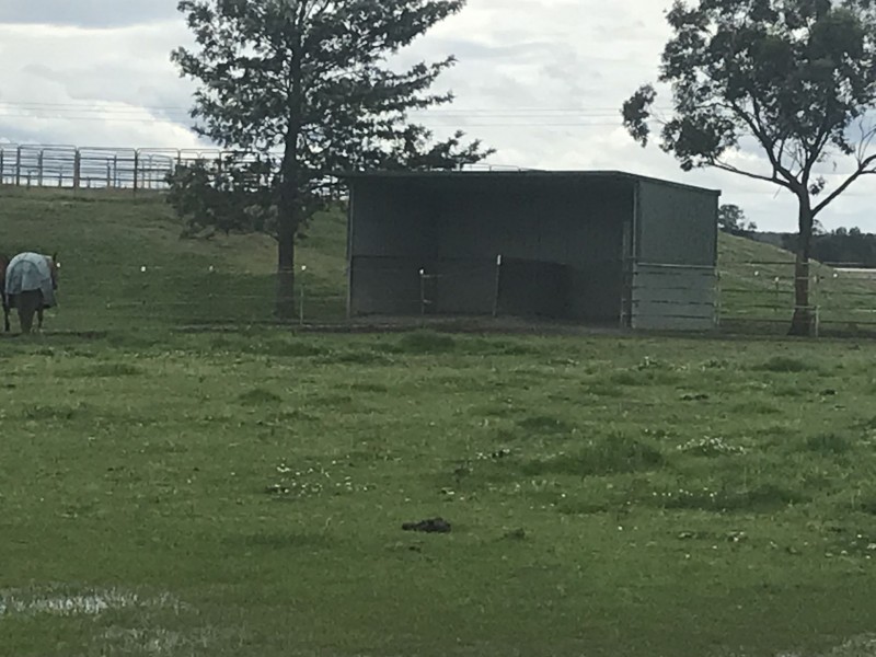 918 Newline Rd, Eagleton NSW 2324