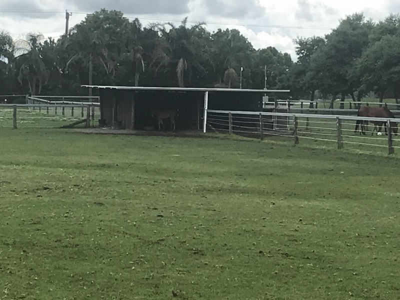 918 Newline Rd, Eagleton NSW 2324