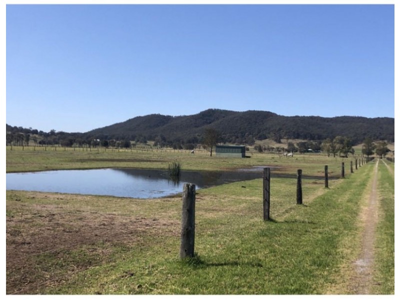918 Newline Rd, Eagleton NSW 2324
