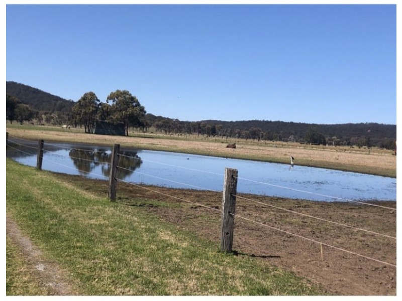 918 Newline Rd, Eagleton NSW 2324