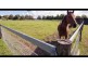 918 Newline Rd, Eagleton NSW 2324
