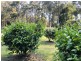 22 Reefton Drive, Mcmahons Creek VIC 3799