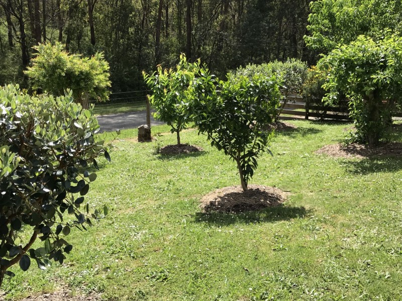 22 Reefton Drive, Mcmahons Creek VIC 3799
