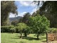 22 Reefton Drive, Mcmahons Creek VIC 3799
