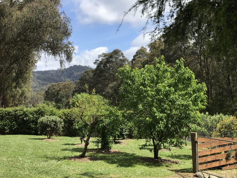 22 Reefton Drive, Mcmahons Creek VIC 3799