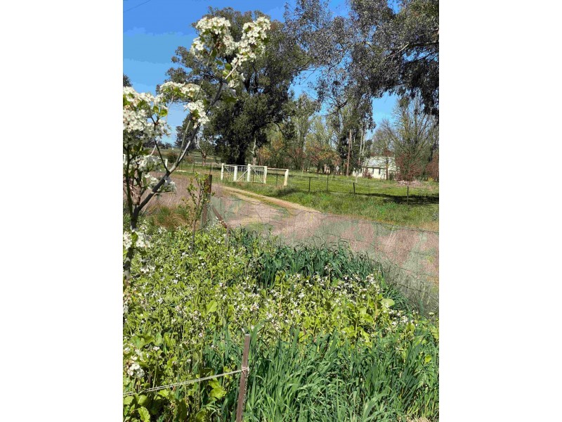 Muttama NSW 2722