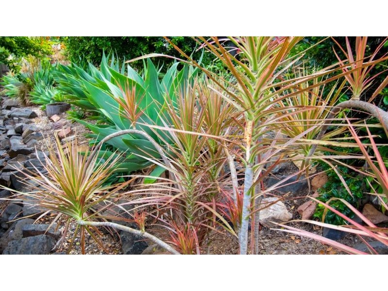 11 Bauer Street, Gatton QLD 4343