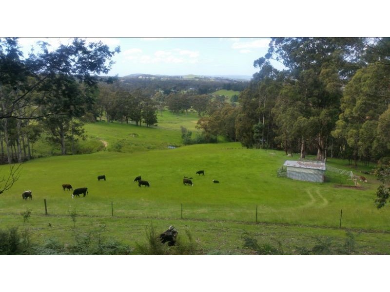 1295 Huon Rd, Neika TAS 7054