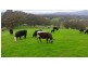 1295 Huon Rd, Neika TAS 7054