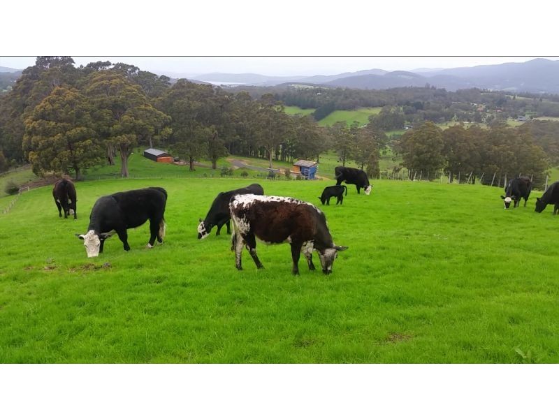 1295 Huon Rd, Neika TAS 7054