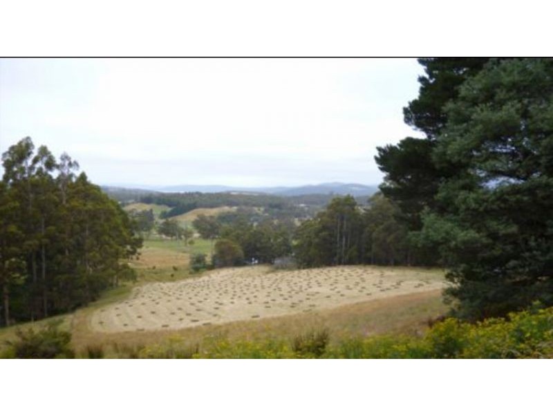 1295 Huon Rd, Neika TAS 7054