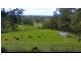 1295 Huon Rd, Neika TAS 7054