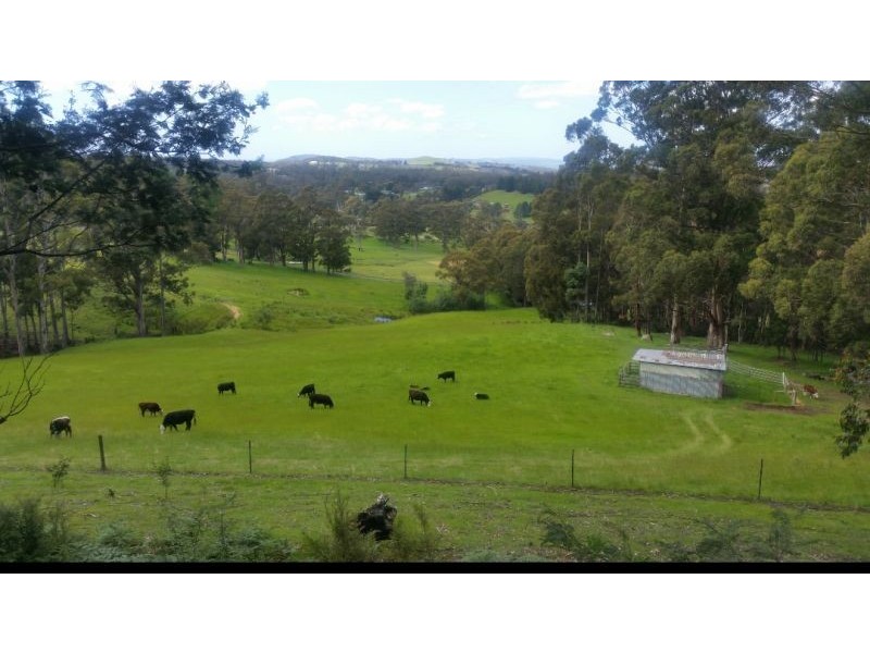 1295 Huon Rd, Neika TAS 7054