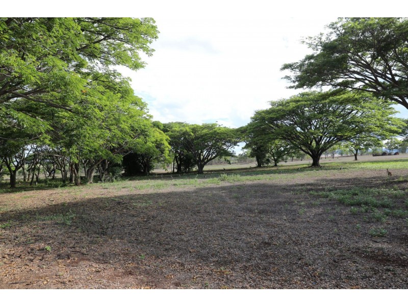 lot 210 Peninsular Developmental road, Lakeland QLD 4871