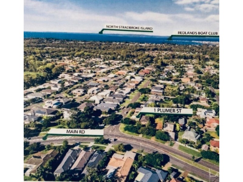 1 Plumer St, Wellington Point QLD 4160
