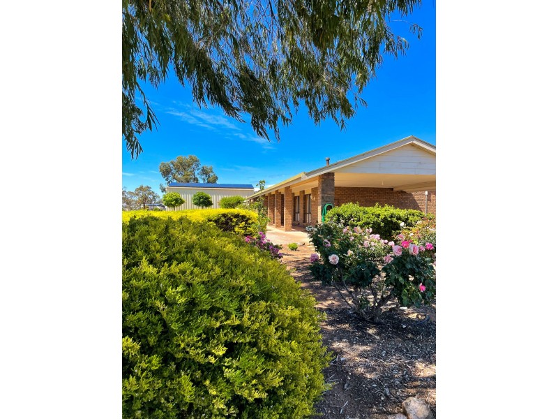 1 Smith Road, Cowell SA 5602