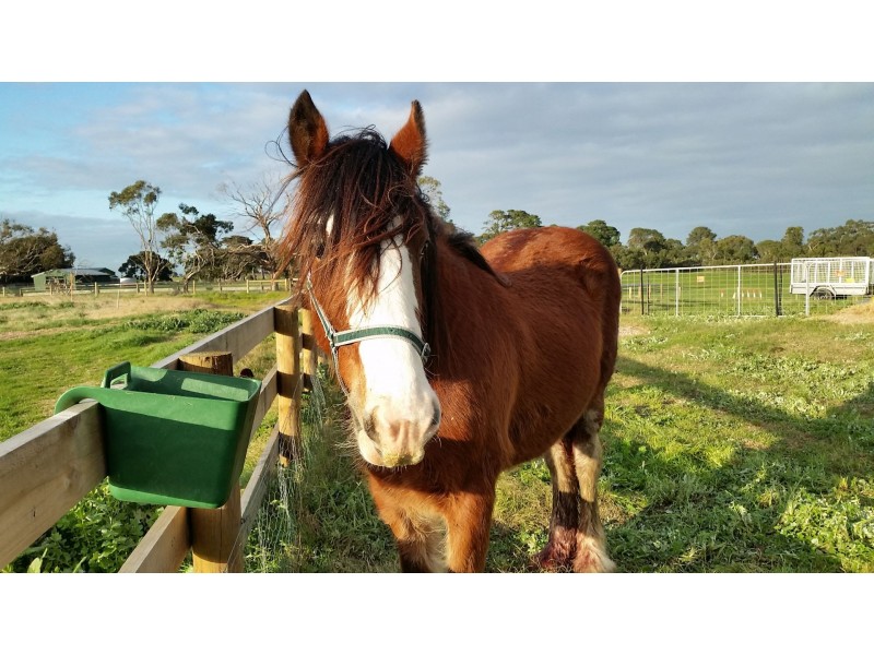 Tooradin VIC 3980