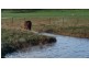 Tooradin VIC 3980