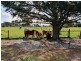 Tooradin VIC 3980