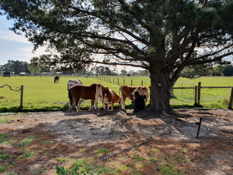 Tooradin VIC 3980