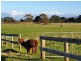 Tooradin VIC 3980